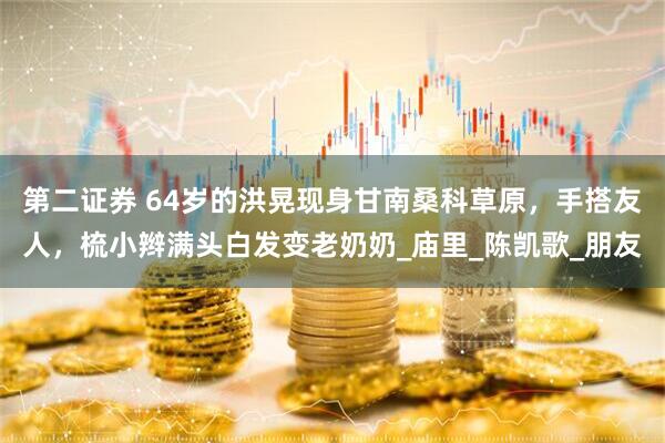 第二证券 64岁的洪晃现身甘南桑科草原，手搭友人，梳小辫满头白发变老奶奶_庙里_陈凯歌_朋友