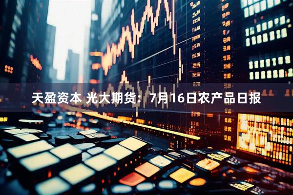 天盈资本 光大期货：7月16日农产品日报