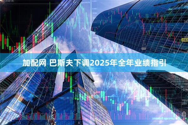 加配网 巴斯夫下调2025年全年业绩指引