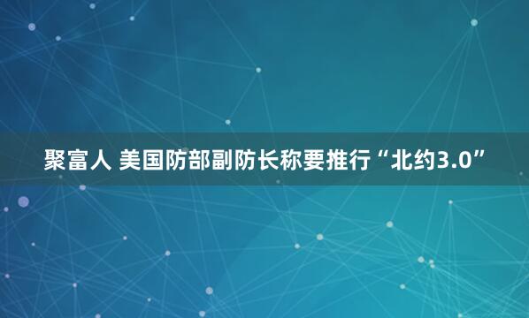 聚富人 美国防部副防长称要推行“北约3.0”