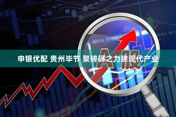 申银优配 贵州毕节 聚磅礴之力建现代产业