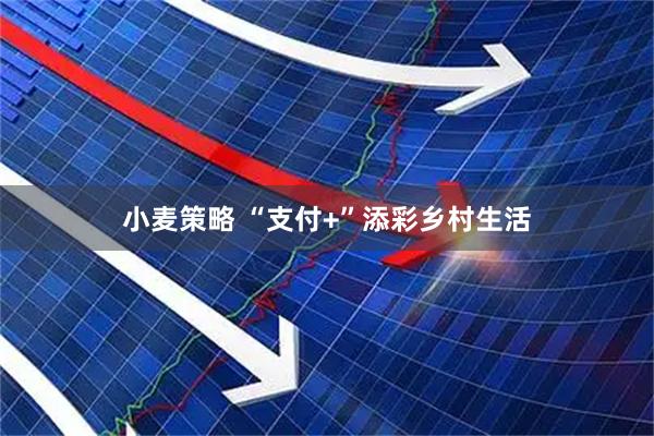 小麦策略 “支付+”添彩乡村生活
