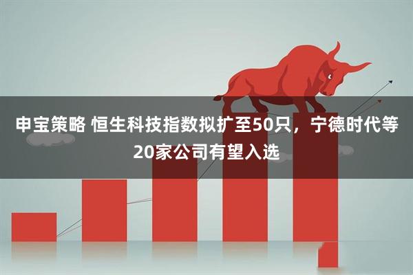 申宝策略 恒生科技指数拟扩至50只，宁德时代等20家公司有望入选